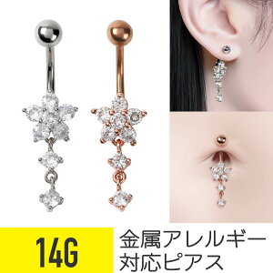 ւsAX t[ 14g AM[Ή oiio[x {fBsAX sAX T[WJXeX ZJhsAX ւs fB[X  WRjA rW[ LL h