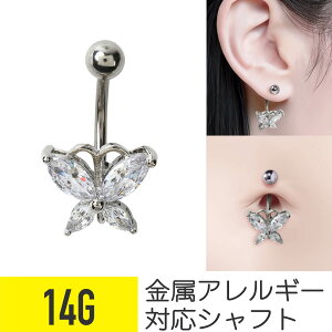 ւsAX WG  14g AM[Ή oiio[x {fBsAX sAX T[WJXeX t@[XgsAX ςȂ ZJhsAX ւs fB[X J[u