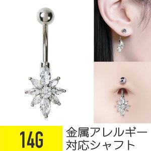 ւsAX t[ 14g AM[Ή oiio[x {fBsAX sAX T[WJXeX t@[XgsAX ςȂ ZJhsAX ւs fB[X  WR