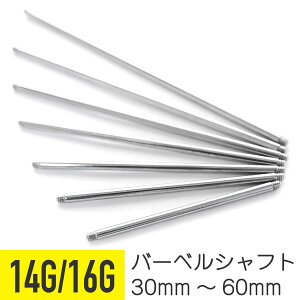 yVtĝ/30mm-60mmz C_XgA Vtg 16g 14g Xg[go[x {fBsAX sAX AM[Ή T[WJXeX sAX t@[XgsAX ZJhsA