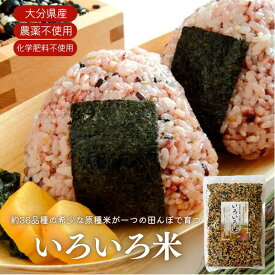 いろいろ米 約36品種のお米 自然農法太陽麦 九州産 国産 栽培期間中 農薬・化学肥料不使用 天日干し 赤米 黒米 雑穀 古代米 雑穀米 玄米 掛け干し米 ご飯 お米 おにぎり グルテンフリー 食物繊維 ダイエット オーガニック チャック袋 無農薬 ちよみ農園 フロム鹿児島