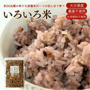 낢 36î R_@z BY Y ͔|Ԓ _Ew엿sgp V ԕ  G Ñ G  |   ɂ Oet[ H