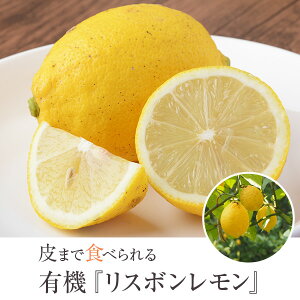  Y  X{ 3kg 5kg 10kgyAizI[KjbN L@ Yn L@͔| _sgp _ _