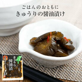 きゅうり醤油漬け 国産 100g×4/7個セット 宮崎県産 国産野菜使用 きゅうり 国産 漬物 お漬物 きゅうりの醤油漬け きゅうりのお漬物 無添加 きゅうり漬物 きゅうりの漬物 ポイント消化 送料無料 お試し 買い回り九州 宮崎 上沖産業 フロム鹿児島