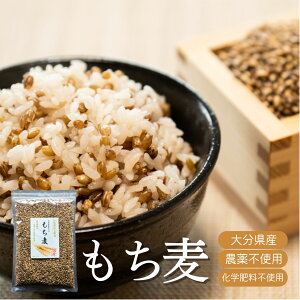  R_@z  BY  Y ͔|Ԓ _Ew엿sgp V G   ɂ H@ _CGbg I[KjbN _CV` `bN _ t