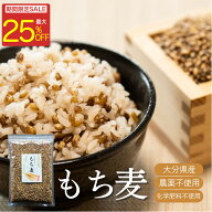 ＼楽天スーパーSALE 25％OFF／ もち麦 自然農法太陽麦 玄麦 九州産 もち麦 国産 栽培期間中 農薬不使用 …