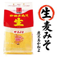 カネヨ 麦味噌 やまぶき 生 1kg 1個～10個 選べる 麦みそ 鹿児島味噌 九州味噌 甘口味噌 生味噌 国産はだ…