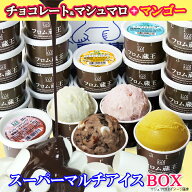【送料無料】フロム蔵王 夏季限定 Hybrid マルチアイスBOX24 (チョコマシュマロ+マンゴー+いちご+バニラ)…
