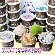 6種類24個入り 【送料無料】フロム蔵王 Hybrid NEOマルチアイスBOX24【アイスクリーム 詰め合わせ】