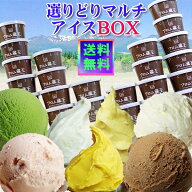 【送料無料】フロム蔵王 Hybrid よりどりマルチアイスBOX24 アイスクリーム詰め合わせ
