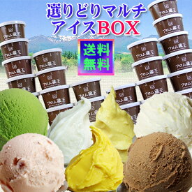 ◆★●選りどりマルチ★▼■【送料無料】フロム蔵王 Hybrid選りどりマルチアイスBOX24