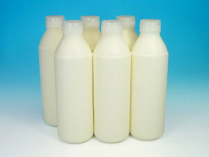 yzƖp ɂ̂ރ[Og(ƃRN)6{iܖ11/11jo11/4`