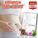 ■4日20時~最大1,000円OFF(定期便除く)■【内臓脂肪減少 血糖値を下げる】スラヘル 1袋/2袋/3袋/6袋 血圧を下げる GAB…