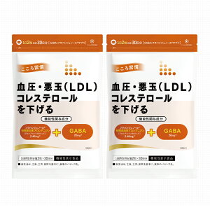 @\\Hi  Tv  RXe[  K RRK GABA Mo toWFm[ ߌ   160 2܃Zbg tRR