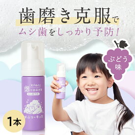 ★ばぶりーキッズ こども用歯磨き粉 ぶどう味 泡歯磨き粉 オーラルケア 口臭予防 歯周病 フッ素無添加 48mlキッズ用品