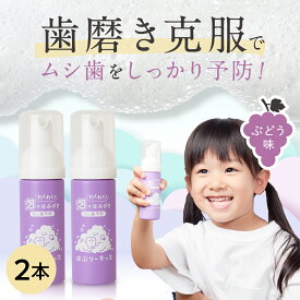★こども用歯磨き粉 ぶどう味 ばぶりーキッズ 泡歯磨き粉 オーラルケア 口臭予防 歯周病 フッ素無添加　48ml キッズ用品 【2本セット】