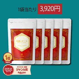 【クーポン★ポイントUP】高麗のめぐみ 1袋60粒 5袋 高麗人参 紅参 黒参 サポニン 美容 健康 女性 高麗人参サプリ