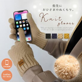 ＼楽天ポイント+10倍／【毛布をくるんだあったか手袋】 手袋 レディース 暖かい 裏起毛 起毛 あったかい 温かい スマホ対応 スマホ操作 防寒 冬用 5本指 使える 操作 指 ニット フリース ふわふわ 毛布 通勤 通学 子供 学生 キャンプ 散歩 ランニング 女性 おすすめ