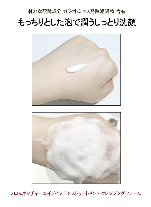 楽天市場 フロムネイチャー公式 Age エイジインテンストリートメント 洗顔フォーム 130g ガラクトミセス配合 摩擦レス洗顔 洗顔 スキンケア 男性にもおすすめ メンズスキンケア 角質ケア しっとり 潤い 保湿 濃厚もっちり泡 韓国コスメ Age Fromnature 楽天海外通販