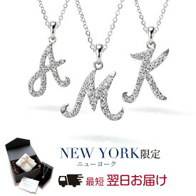 【翌日配送】 イニシャル ネックレス レディース プラチナ 加工 お守り ペンダント ブランド 人気 誕生日プレゼント 結婚記念日 女性 彼女 妻 嫁 母 50代 40代 30代 クリスマス 金属アレルギー シンプル 大人 上品 アルファベット