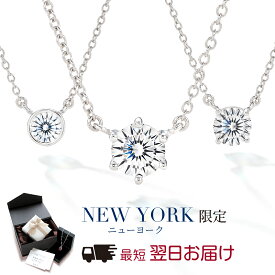 【翌日配送】 ネックレス レディース プラチナ 加工 一粒 1カラット 誕生日プレゼント 結婚記念日 女性 彼女 妻 嫁 母 50代 40代 30代 クリスマス 金属アレルギー 華奢 シンプル 大人 可愛い ブランド