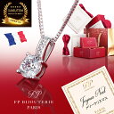 【6冠★1位受賞】妻 ネックレス レディース クリスマス プレゼント 女性 誕生日プレゼント 金属アレルギー 30代 40代 50代 記念日 結婚記念日 誕生日 ギフト　ジュエリー　アクセサリー　ブランド