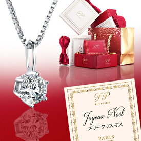 ネックレス レディース クリスマス　アクセサリー 誕生日プレゼント 誕生日 女性 　プレゼント 彼女 妻 ニッケルフリー 金属アレルギー対応 ギフト