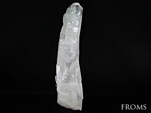 y J[o`[ i Ȃ萅 jzfBA}eB[izR NX^ |Cg 314g _@cr-1705-2@A@ p[Xg[@VR΁@sss 9