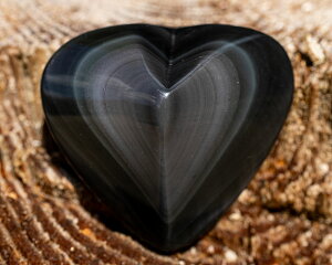 Iׂ _ C{[IuVfBA n[g u VR IuVfBA  IuVfBA mXg_X