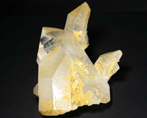 H&E A xXgZNgi A[J\[ Y S[fq[[ NX^[ R[hL[p[@ 155g  VR o[gVY I@A[J\[ كNX@Arkansas Golden H