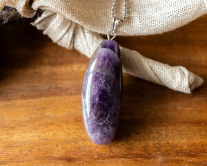 NEW H&E AWXg ^u y_ggbv fB[X AVXg v[g 킢@Vo[925 yzyo[gVYz