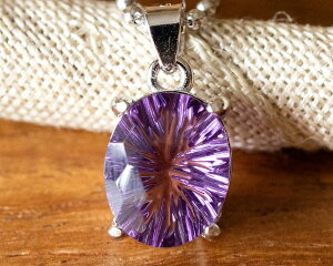 AWXgJ̉Ԃ߂悤ȋP@uWYAΎAWXg@t@V[Jbg@y_g@IׂJ[ Vo[925 Vo[92518KP S[h@