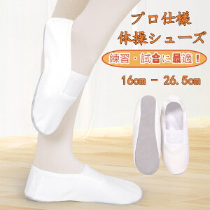 ̑V[Y LbY l K _X oGV[Y  C z  _X K jp yʏ_炩 \tg S Kp KV[Y oGV[Y 15cm`26cm ̑C ^