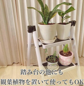  r ܂ 2i Xebv Yf| y  ~ S @\ gݗĕsv ȃXy[X ƒpEDIYp Ƒ