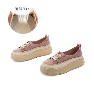 y Xj[J[ fB[X  _bhXj[J[ EH[LOV[Y h L ₷ r Ȃ 傫TCY ؍ V[Y ʋ ʊw [Jbg lC 