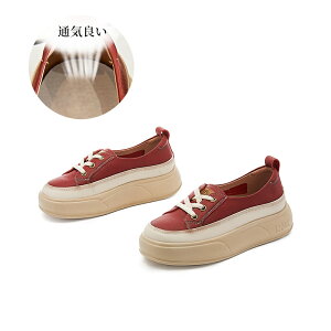 y Xj[J[ fB[X  _bhXj[J[ EH[LOV[Y h L ₷ r Ȃ 傫TCY ؍ V[Y ʋ ʊw [Jbg lC 