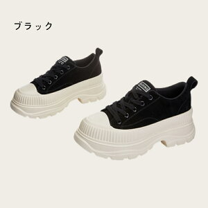Jp Xj[J[ fB[X y ₷ _bhV[Y r ʊw ʋ lC  H~ Cq[ h Ȃ _CGbgXj[J[ x[W ؍ 킢 X|[e