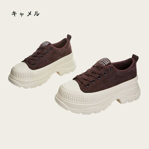 Jp Xj[J[ fB[X y ₷ _bhV[Y r ʊw ʋ lC  H~ Cq[ h Ȃ _CGbgXj[J[ x[W ؍ 킢 X|[e