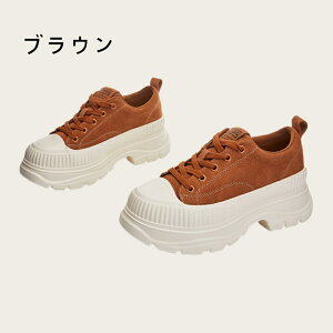 Jp Xj[J[ fB[X y ₷ _bhV[Y r ʊw ʋ lC  H~ Cq[ h Ȃ _CGbgXj[J[ x[W ؍ 킢 X|[e