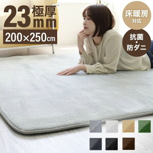 【200×250cm/3畳用】北欧ラグ 低反発ラグマット 極厚23mm 滑り止め付き 防音 厚手 ホットカーペット対応 洗える リビング 寝室 赤ちゃん・子供・ペット対応 おしゃれ カーペット