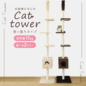 yzLbg^[ ˂ 240`260cm X ȃXy[X Ђ ܂Ƃ t xbh \  lC S 萫Q VjA qLp Lpi ybg^[