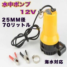電動水中ポンプ 12V 小型 軽量 70L/分 25mm径 給排水ポンプ 海水対応 耐海水性 ビルジポンプ ボート 船舶 農業 建設機械 排水・送水用 清水対応