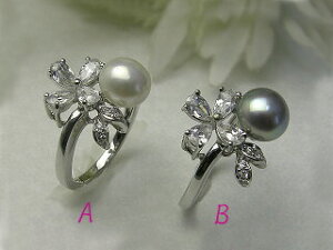 v`tV[ `SVW^ ԃO`CPF-CNF Wp[