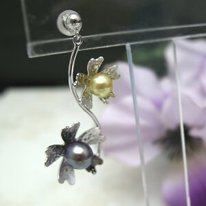^sAX SV/K10WG@Reflection Colors&WЕsAXp[ WG[ ^@^썥@30N p[v Wߕi Е lC a