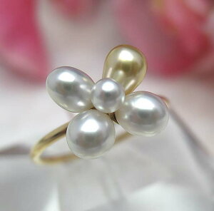 ^샊O w K18PV@ԃOxp[ WG[ w@^썥@30N ߕi PV@ lC 