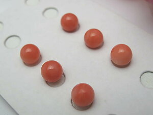 X胋[X N[|ΏۊO FX@5.5~yA[XH ㋉i@X ߕi VR sAXp COp