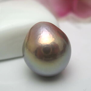 ^샋[X Wy_gp[X@TR-10p[ WG[ w@^썥@30N ߕi W^ hbv v[g  lC a