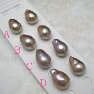 ^샋[X LjWyA[X@NEW-47p[ WG[ w@^썥@30N ߕi W^ H lC a