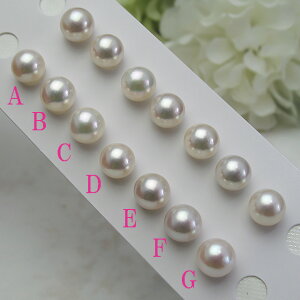 ^yA[X △F8.5~yA[X^@p[@v[g@^썥@ARCO sAX tp