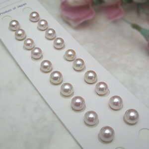  7~ yA[[X ^ ^ p[ ANZT[ WG[  w Ǝ l